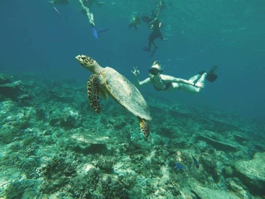 Gurus Maldives At Gulhi Island Hotel Exterior foto